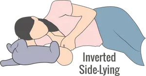 Inverted Side Lying Breastfeeding Position PNG Image