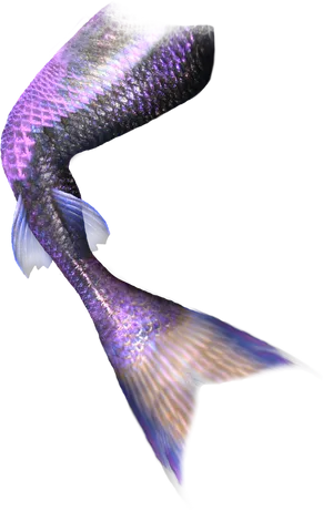 Iridescent Mermaid Tail PNG Image