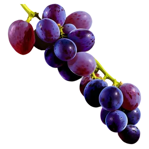 Isolated Grape Picture Png 68 PNG Image