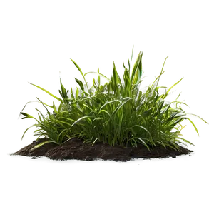 Isolated Grass Patch Png Vnl33 PNG Image