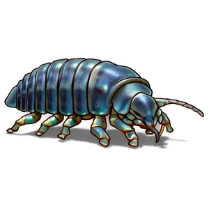 Isopod In Motion Png Ofi PNG Image