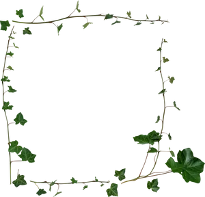 Ivy Vine Frameon Blue Background PNG Image