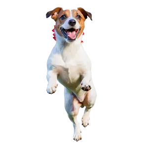 Jack Russell In Action Png Xnh57 PNG Image