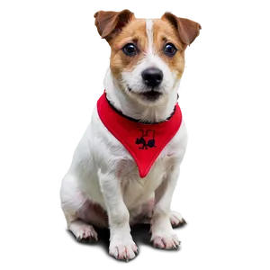 Jack Russell Terrier Sitting Png Clx46 PNG Image