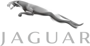 Jaguar Car Logo Silver PNG Image