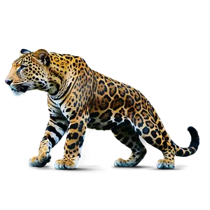 Jaguars Prowling Jungle Png 88 PNG Image