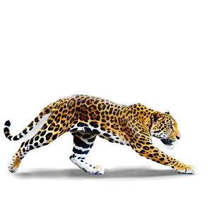 Jaguars Prowling Jungle Png Pcd PNG Image