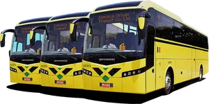 Jamaica Urban Transit Buses PNG
