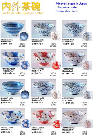 Japanese Rice Bowl Collection PNG Image