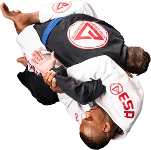 Jiu Jitsu Training Session PNG Image