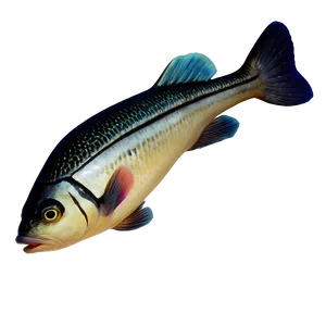 Joyful Fish Image Png 99 PNG Image