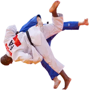 Judo Throw Action Shot.png PNG Image