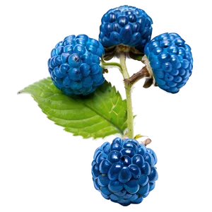 Juicy Blue Raspberry Png Dhq PNG Image