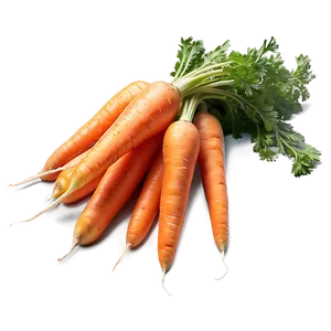 Juicy Carrot PNG 19 PNG
