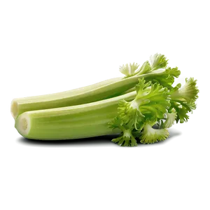 Juicy Celery Png 06252024 PNG Image