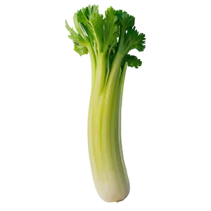 Juicy Celery Png Mnf55 PNG Image