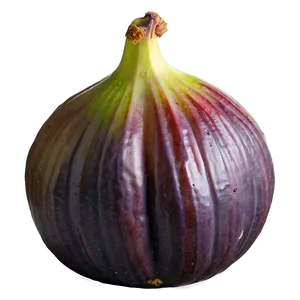 Juicy Fig Image Png 31 PNG Image