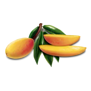 Juicy Mango Slice Png Myr PNG Image