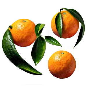 Juicy Orange Fruit Png Hhf PNG Image