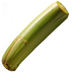 Juicy Sugarcane Segment Png Rwj79 PNG Image