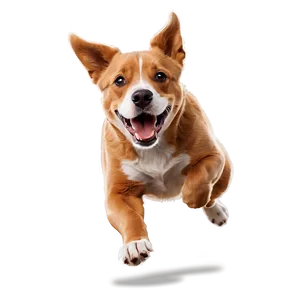Jumping Dog Cartoon PNG 06242024 PNG
