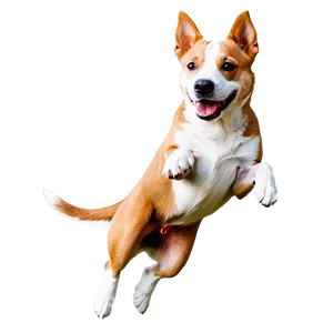 Jumping Dog Cartoon PNG 06242024 PNG