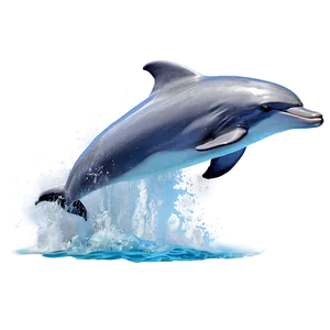 Jumping Dolphins Png Msa11 PNG Image