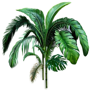 Jungle Plants Png 13 PNG Image