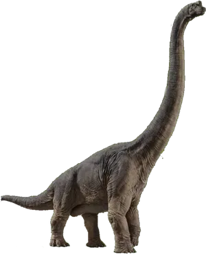 Jurassic Brachiosaurus Profile PNG Image