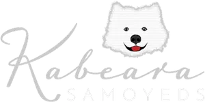 Kabeara Samoyeds Logo PNG Image