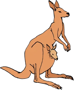 Kangarooand Joey Illustration PNG Image