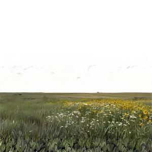 Kansas Wild Prairie Png 72 PNG Image