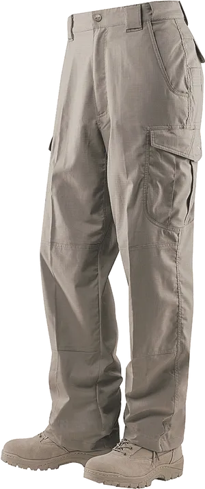 Khaki Cargo Pants Standing PNG