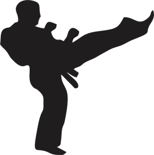 Kickboxer Silhouette High Kick PNG