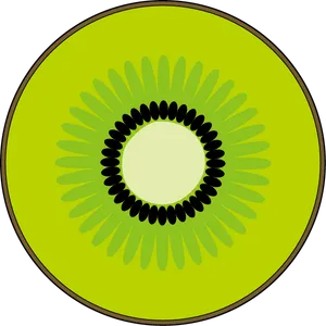 Kiwi Fruit Cross Section Vector PNG Image