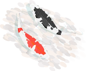 Koi Carp Pond Artwork PNG Image