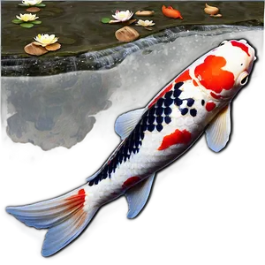 Koi Fish Pond Png Rpe64 PNG Image