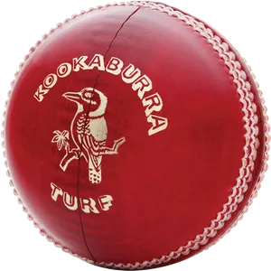 Kookaburra Cricket Ball PNG Image