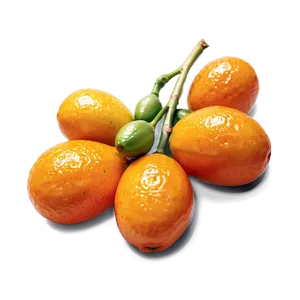 Kumquat Cluster Png Srm PNG Image