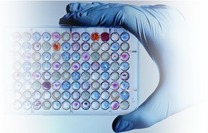 Laboratory Microplate Assay Analysis PNG Image