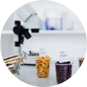 Laboratory Seed Experiment Setup PNG Image