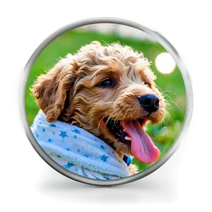 Labradoodle Puppy Yawn Png Qgq62 PNG Image