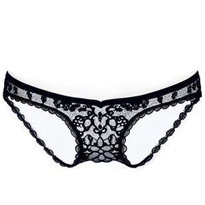 Lace Underwear Png 06212024 PNG Image