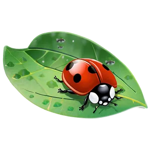 Ladybug On Leaf PNG Agg35 PNG