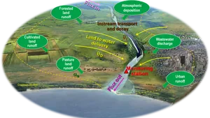 Lake Ecosystem Inputsand Outputs Diagram PNG Image