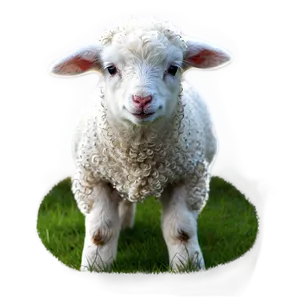 Lamb Cutout Png Jpq1 PNG Image