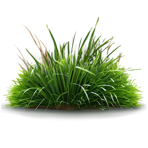 Landscape Grass Design Png 90 PNG Image