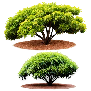 Landscaping Shrubs Png Udr8 PNG Image