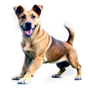 Large Dogs Png 05242024 PNG Image