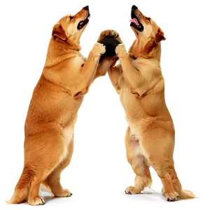 Large Dogs Png Lpx42 PNG Image